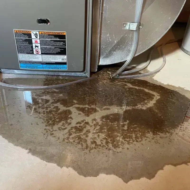 Appliance Leak Cleanup in Diamondhead, MS